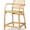 Baxton Studio Tugera Rattan Counter Stool Home