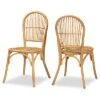 Baxton Studio Wina Rattan 2pc Dining Chair Set Home